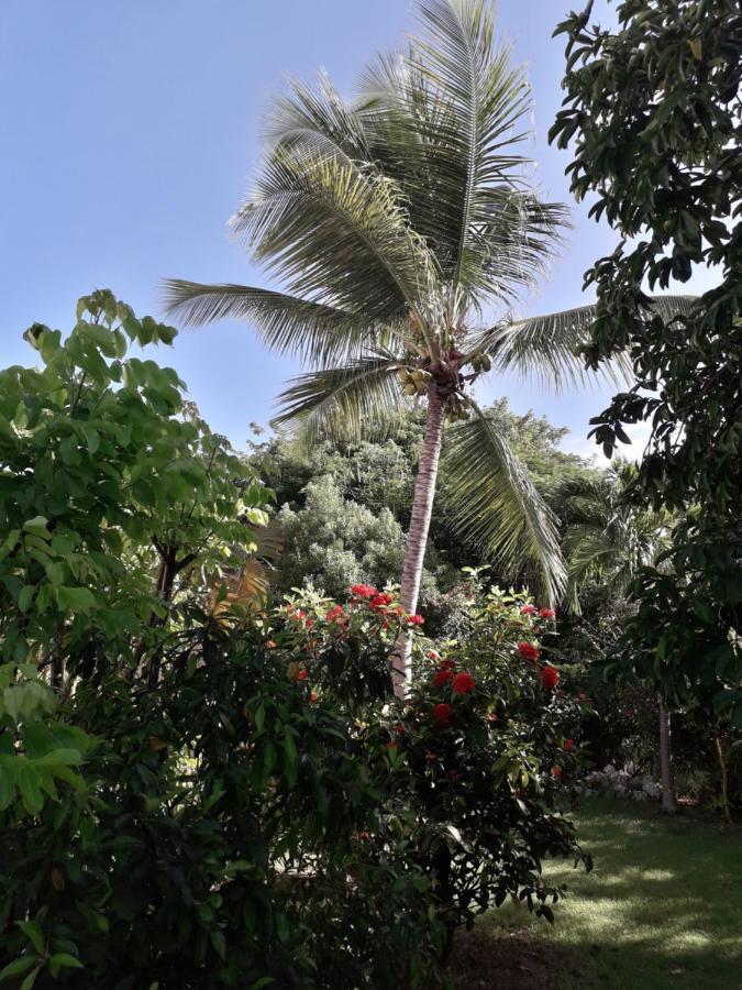Kazatipunch Villa Saint-Francois  Bagian luar foto